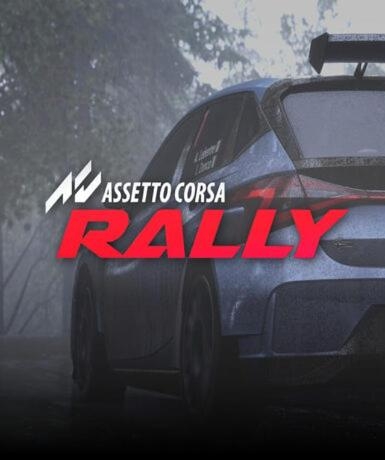 Assetto Corsa Rally (Early Acc