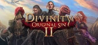 Divinity: Original Sin 2 GOG Key GLOBAL